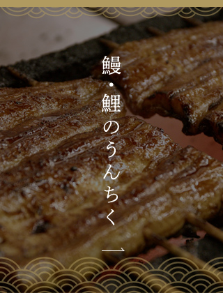 鰻・鯉のうんちく
