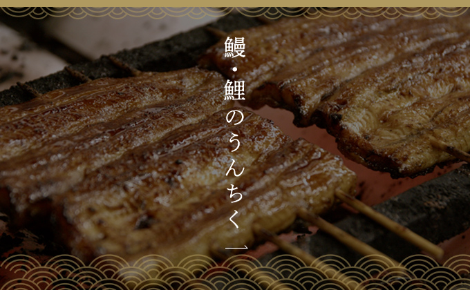 鰻・鯉のうんちく